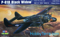 Northrop P-61B Black Widow night fighter