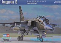 French fighter Jaguar E