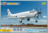 Tu-91 'Boot' Soviet naval attack aircraft